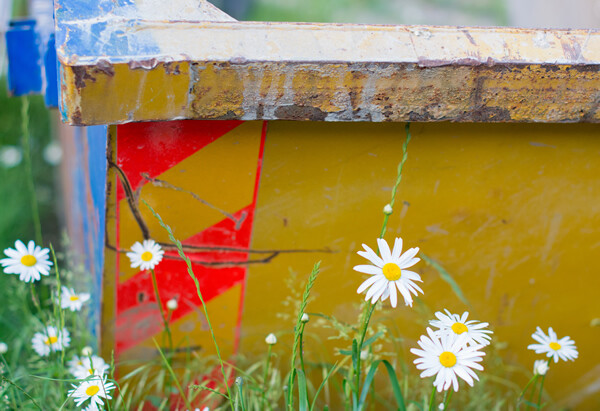 Cheap Skip Hire Swadlincote